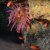 Animales Marinos &raquo; Cnidarios y afines